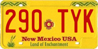 NM license plate 290TYK