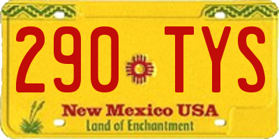 NM license plate 290TYS
