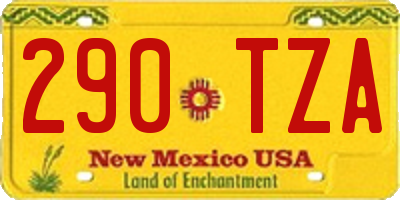NM license plate 290TZA