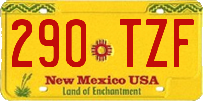 NM license plate 290TZF