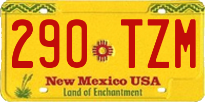 NM license plate 290TZM