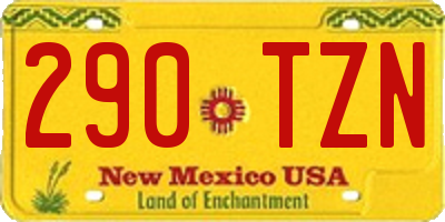 NM license plate 290TZN