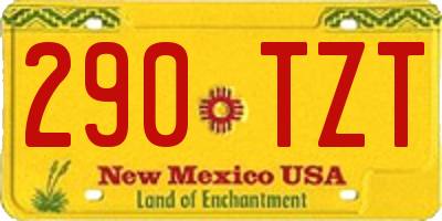 NM license plate 290TZT