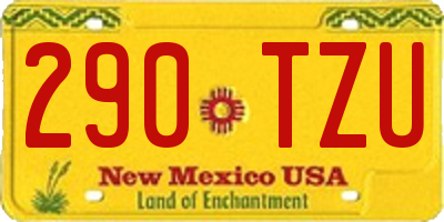 NM license plate 290TZU