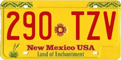 NM license plate 290TZV