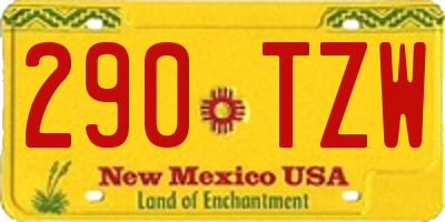 NM license plate 290TZW