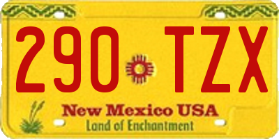 NM license plate 290TZX