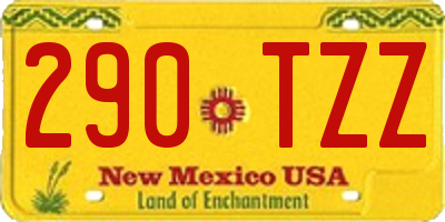 NM license plate 290TZZ