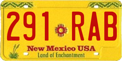 NM license plate 291RAB