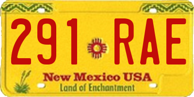 NM license plate 291RAE