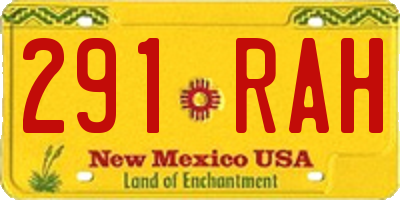 NM license plate 291RAH