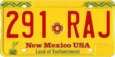 NM license plate 291RAJ