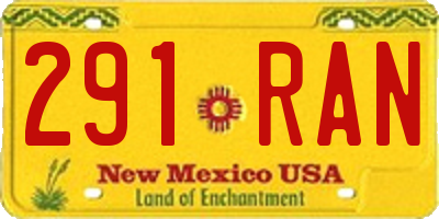 NM license plate 291RAN