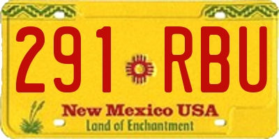 NM license plate 291RBU