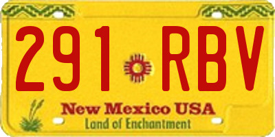 NM license plate 291RBV