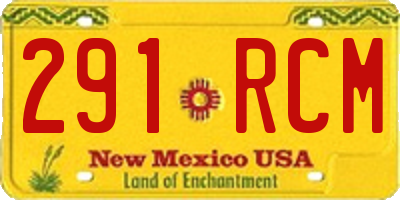 NM license plate 291RCM