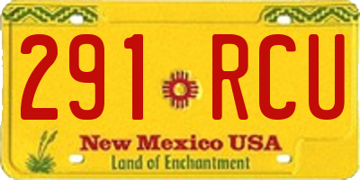 NM license plate 291RCU