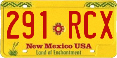 NM license plate 291RCX