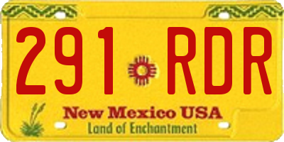 NM license plate 291RDR