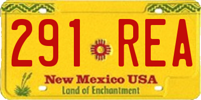 NM license plate 291REA