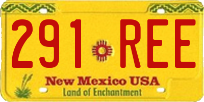 NM license plate 291REE