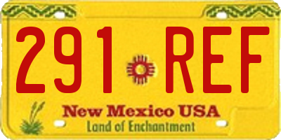NM license plate 291REF