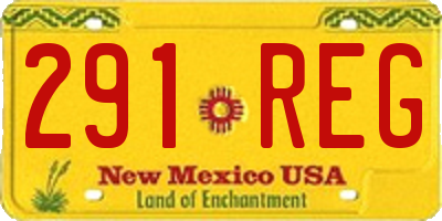 NM license plate 291REG