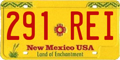 NM license plate 291REI