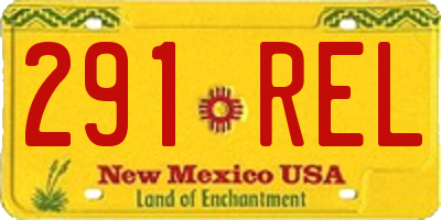 NM license plate 291REL