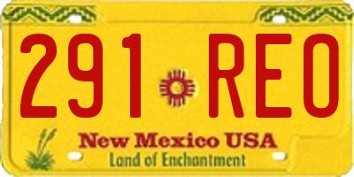 NM license plate 291REO