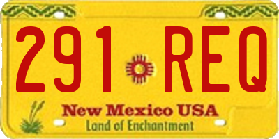 NM license plate 291REQ