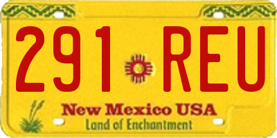 NM license plate 291REU