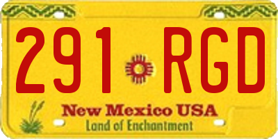 NM license plate 291RGD
