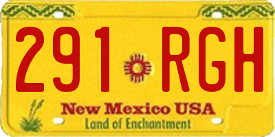 NM license plate 291RGH