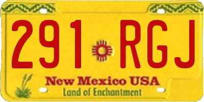 NM license plate 291RGJ