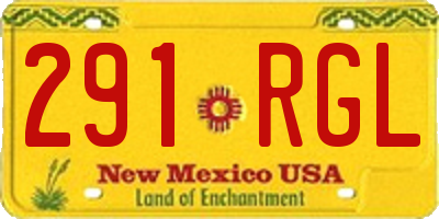 NM license plate 291RGL