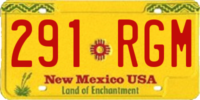 NM license plate 291RGM