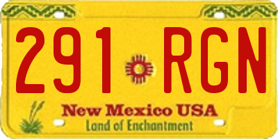 NM license plate 291RGN