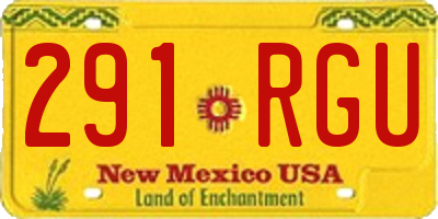 NM license plate 291RGU