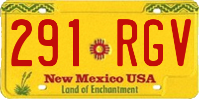 NM license plate 291RGV