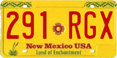 NM license plate 291RGX