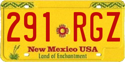 NM license plate 291RGZ