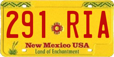 NM license plate 291RIA