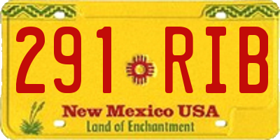 NM license plate 291RIB