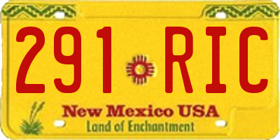 NM license plate 291RIC