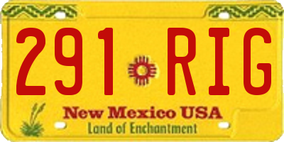 NM license plate 291RIG