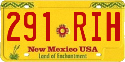 NM license plate 291RIH