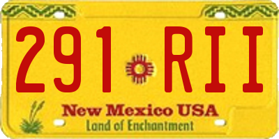 NM license plate 291RII