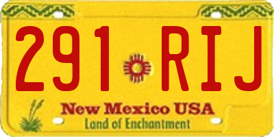 NM license plate 291RIJ