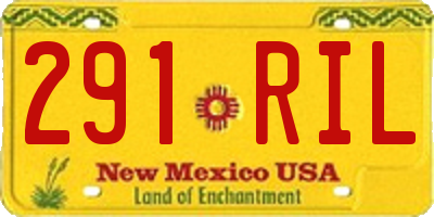 NM license plate 291RIL